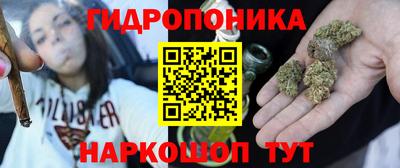 спиды Кинель